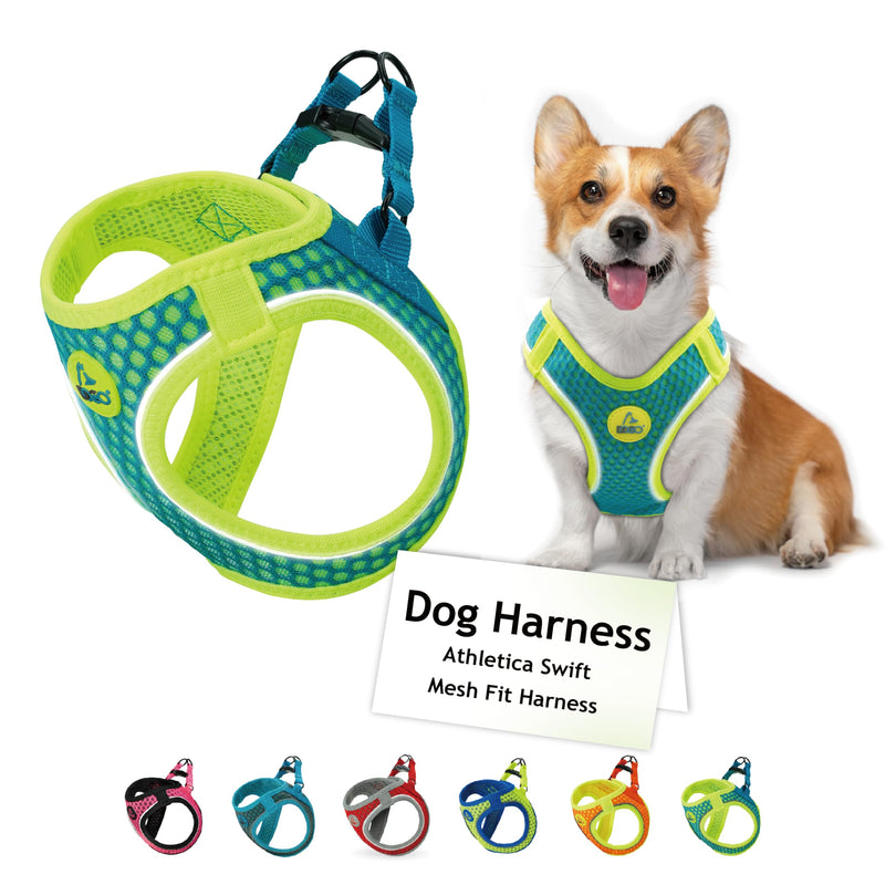 DOCO Dog Harness for Small Sized Dog - Athletica Adjustable, No Pull, No Choke, Puppy Vest Lightweight Air Mesh, Reflective, Puppy Essentials – Turquoise, X-Small (Chest 13.5"-14.", Weight 4–6 lbs) X Small (Chest: 13.5-14") - PawsPlanet Australia