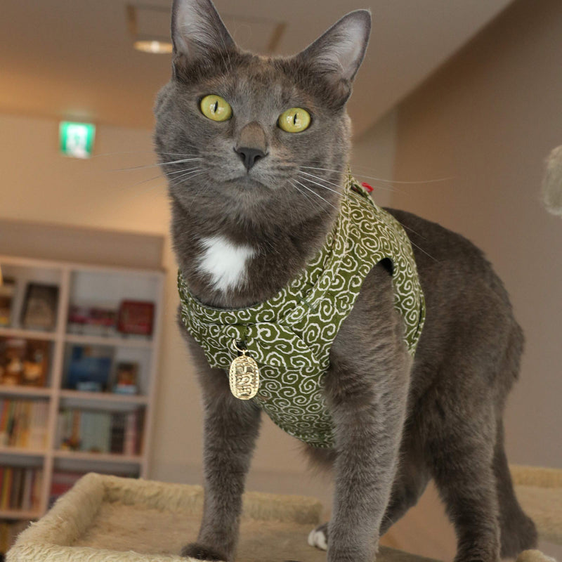 Ninja Cat (Green, Harness) Green Paisley - PawsPlanet Australia