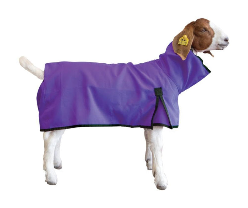 Goat Blanket, Medium, Purple - PawsPlanet Australia