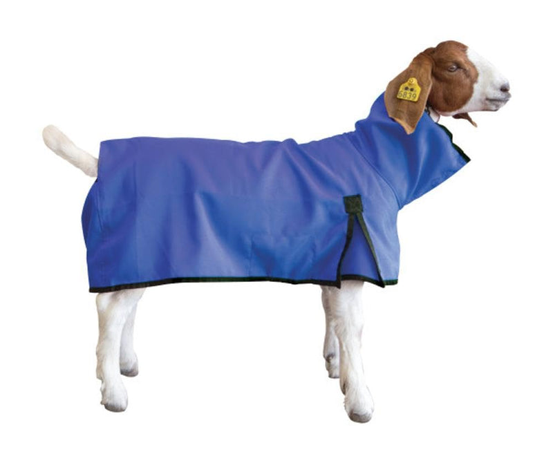 Goat Blanket, Medium, Blue - PawsPlanet Australia