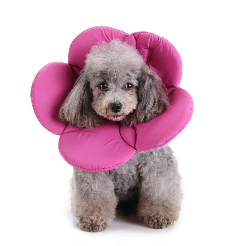 Dog Collar, Pet Cone E-Collar Flower Soft Elizabethan Waterproof Grooming Recovery Protecive Adjustable Collar for Puppy Small Medium Dogs (M Neck: 11-13in, Purple) M Neck:11-13in - PawsPlanet Australia