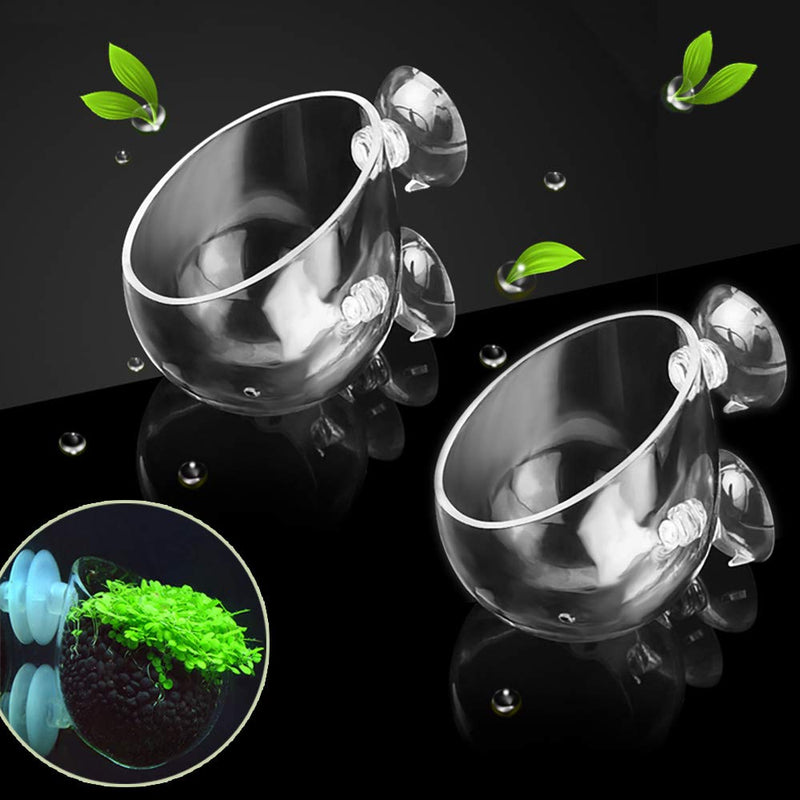 capetsma Crystal Glass Aquatic Plant Pot, Aquarium Aquatic Planter, Red Shrimp Live Plants Fish Tank Glass Holder with Suction Cups for Aquarium Aquascape Decoration… 2 pack - PawsPlanet Australia