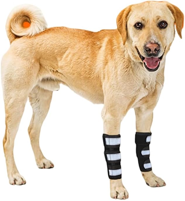 NeoAlly Dog Front Leg Braces Super Supportive with Metal Spring Strips to Stabilize Canine Front Leg Wrist Carpal, Prevents Leg Injuries Sprains Arthritis (Pair) S/M (1 Pair) - PawsPlanet Australia