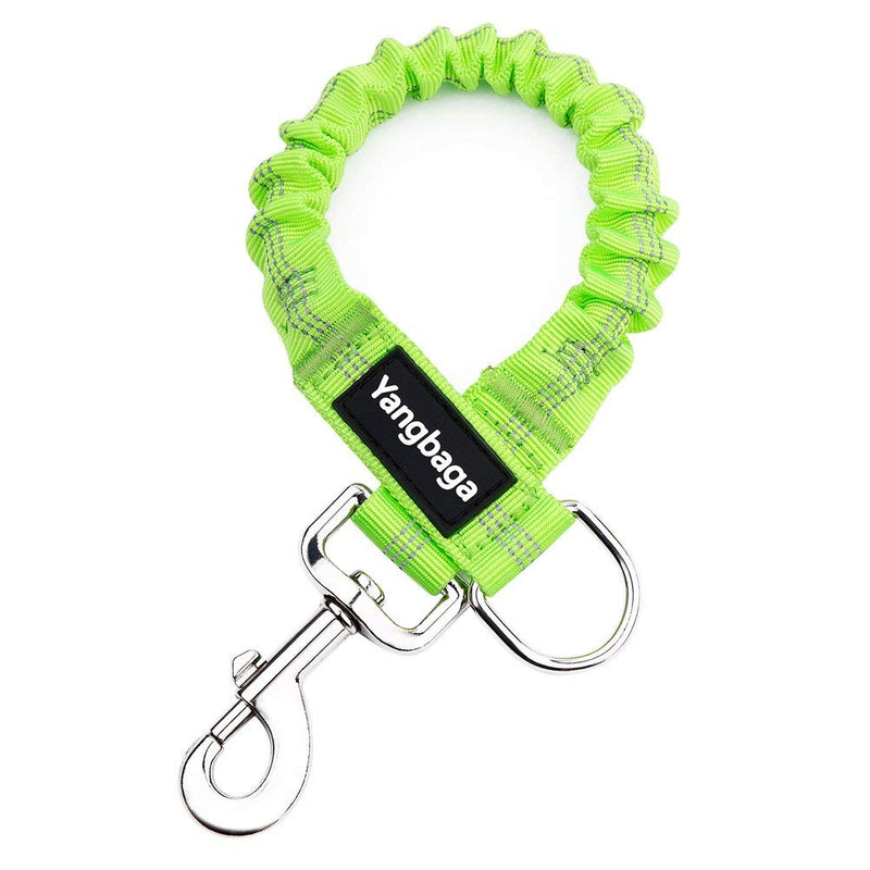 Yangbaga Dog Leash Extender, Shock Absorber Bungee Leash Attachment, Durable Nylon Dog Tie Out Extension with Stainless Steel Swivel Clips Green for dogs < 20lbs - PawsPlanet Australia