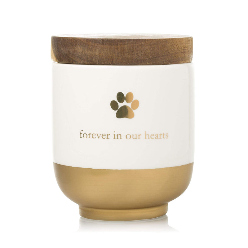 Pearhead Pet Ceramic Forever in Our Hearts Urn, Pet Memorial, Dog Or Cat Keepsake Urn, Rainbow Bridge, Gold - PawsPlanet Australia