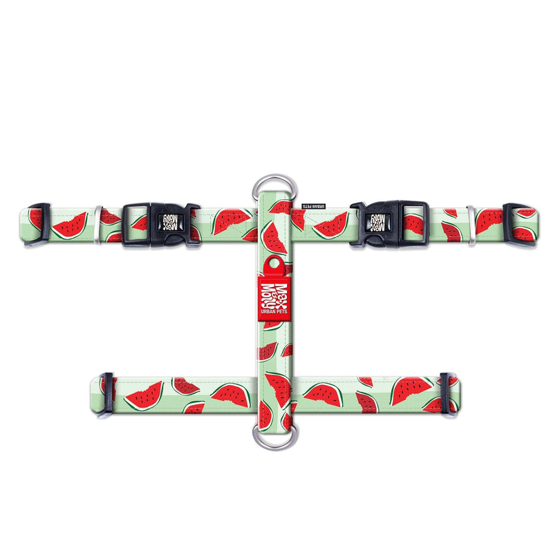 Max & Molly H Comfort Fit Dog Harness – Soft Neoprene Padding, Easy Step-In Design, Durable Metal Parts, Dual D-Rings for Enhanced Control – Perfect for Secure, Comfortable Walks Extra Small - PawsPlanet Australia