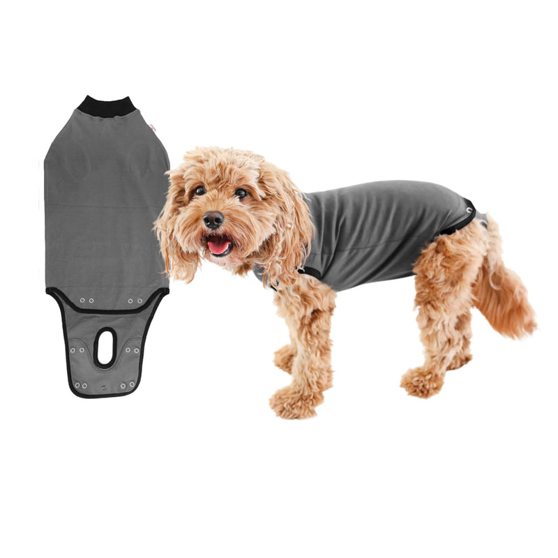 BellyGuard Recovery Suit for Dogs, After Surgery Dog Recovery Suit Female and Male, Soft Cotton Dog Surgery Suit Female Spay, Dog Surgical Recovery Suit Male Neuter, Comfy Surgical Onesie for Dogs. Large Grey - PawsPlanet Australia