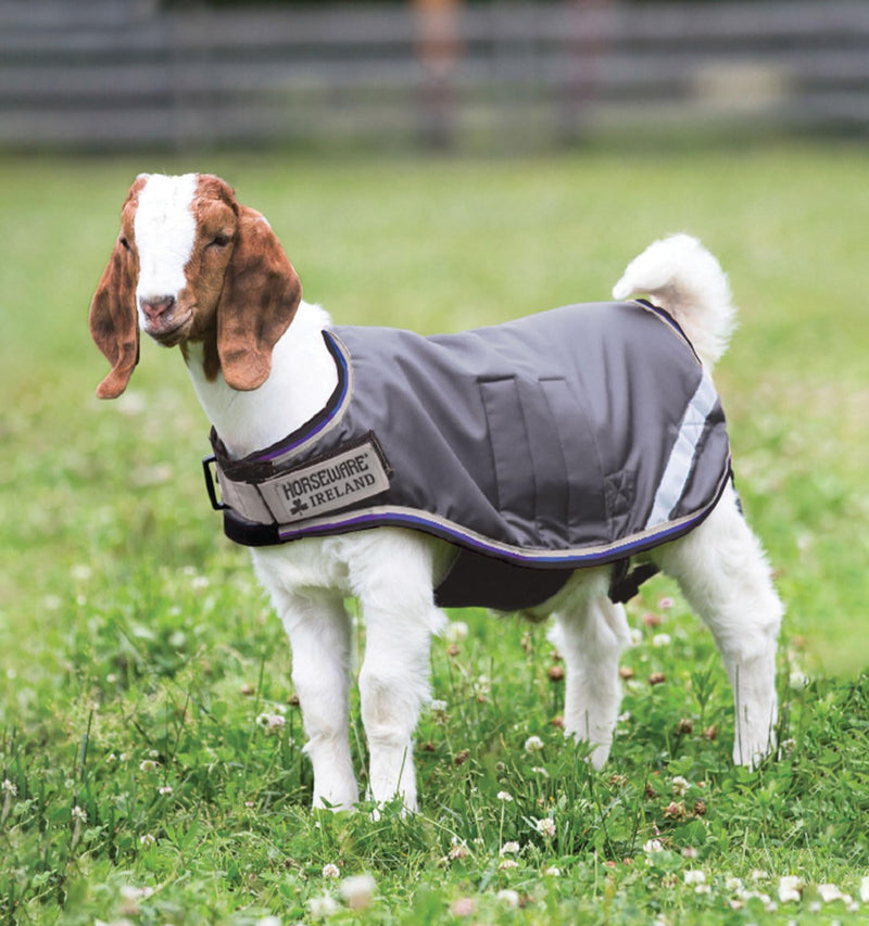 Horseware Ireland Breathable Waterproof Windproof Cold Weather Adjustable Goat Coat (100g Fill) Excalibur/Silver/Strong Blue/Black XX-Large - PawsPlanet Australia