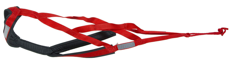 Neewa X-Back Racing Harness X-Large Red - PawsPlanet Australia