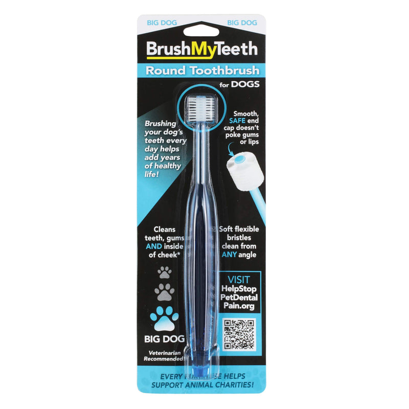 Brush My Teeth Big Dog Toothbrush, Rounded Brush Head with Soft Flexible Bristles for Safe and Gentle Brushing for Dogs, Any Large Breed or Puppy, Daily Brushing Adds Years of Healthy Life - PawsPlanet Australia