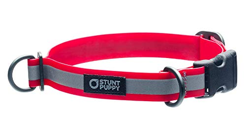 Stunt Puppy Go Dog Glo Waterproof & Stinkproof Dry Collar Large, Red - PawsPlanet Australia