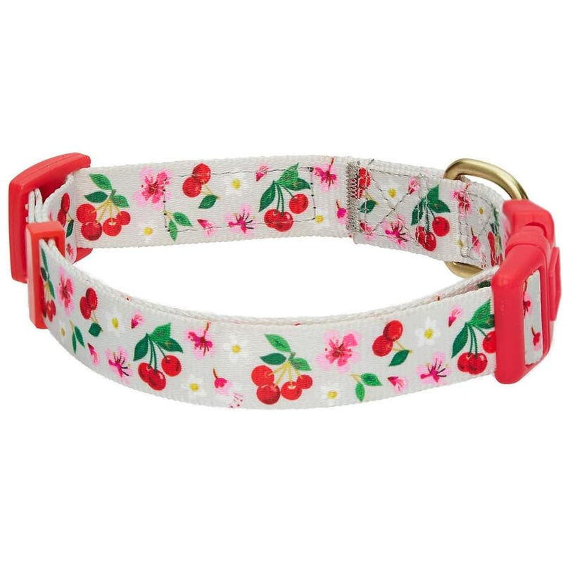 Blueberry Pet Dog Collar - Turquoise Floral Rose Print, Adjustable for Small Dogs, Neck 12"-16", Pink Puppy Collar with Eco-Friendly Buckles, Ideal Small Dog Collars for Female Dogs Grey - PawsPlanet Australia