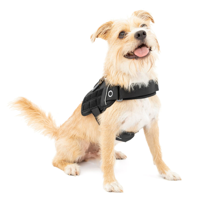 Kurgo RSG Dog Townie Harness - Easy On-Off for Quick Outings - Breathable Mesh - MOLLE-Compatible for Clip-On Accessories - Top Handle - Reflective Trim - Small - Black - PawsPlanet Australia