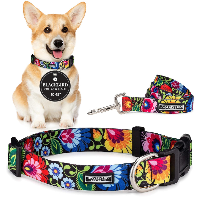 Lucky Love Dog - Easy Click Buckle Dog Collar with Leash Set Combo, Durable & Comfortable for Male & Female Dogs, Pet Collar for Small to Large Dogs, Secure Fit - Blackbird Combo, Small Small | 10-15" Blackbird Collar/Leash Combo - PawsPlanet Australia