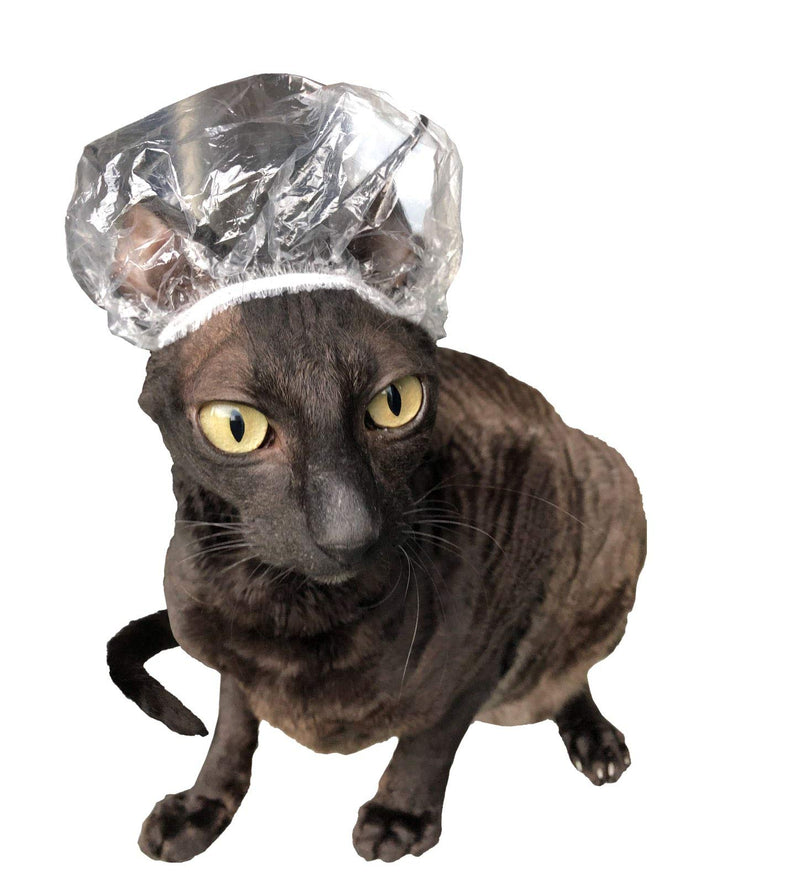 Shower Caps for Sphynx Cats and Small Pets 20pcs Transparent - PawsPlanet Australia