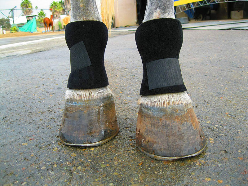 Bedsore Boots for Horses -Equine Leg Protection for Pressure Sores & Ulcers- Neoprene Stall Boots, Heal Wounds Faster, Easy On/Off, Washable & Air-Dry - PawsPlanet Australia