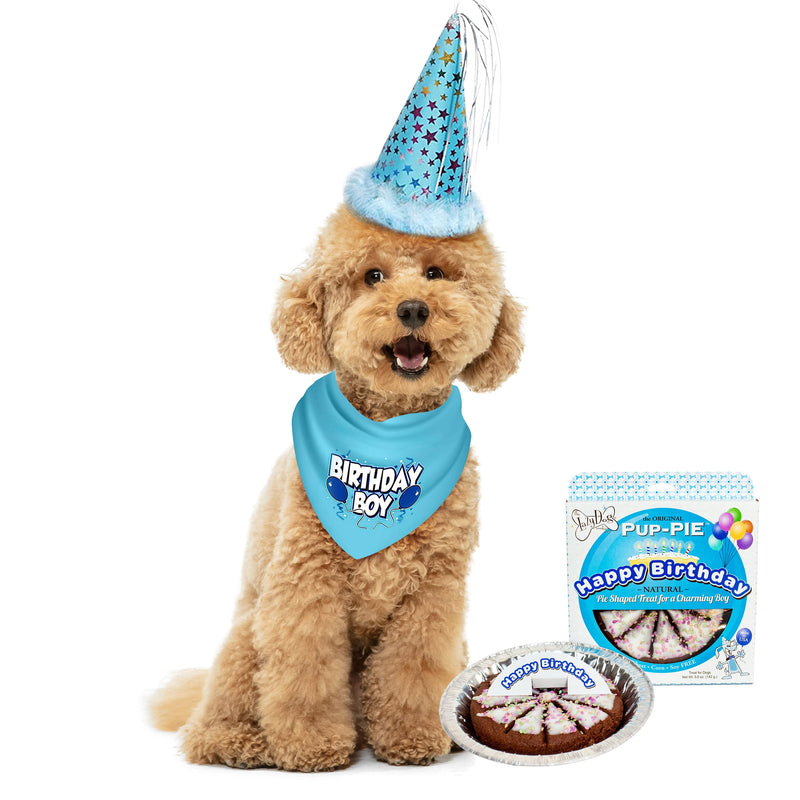 Dog Birthday Boy Party Pack with Bandana, Star Spangled Party Hat with Adjustable Elastic, Tassels and Feathery Trim, and Vegan Birthday Pie, Large Boy Dog Pie Bundle - PawsPlanet Australia