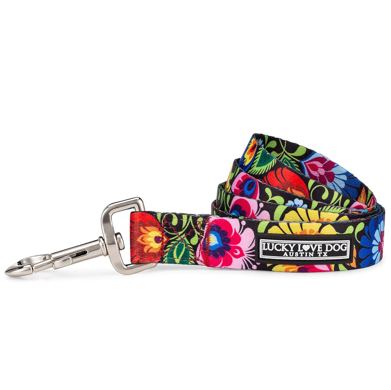 Lucky Love Dog Leash, Beautiful Vivid Patterns, Durable & Long Lasting (Blackbird, Small) Blackbird - PawsPlanet Australia