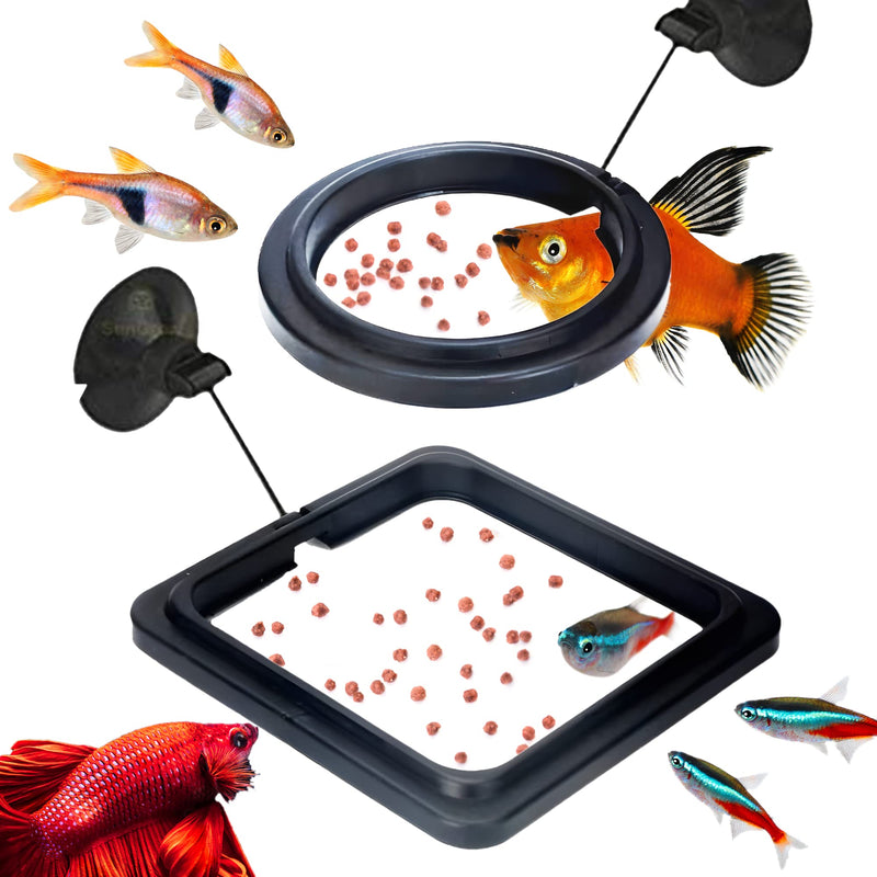 SunGrow 2 Betta Feeding Ring, Prevent Water Turbulence from Washing Food into Filter, Practical Round Floating Food, Suitable for Guppy, Goldfish and Other Small Fish - PawsPlanet Australia