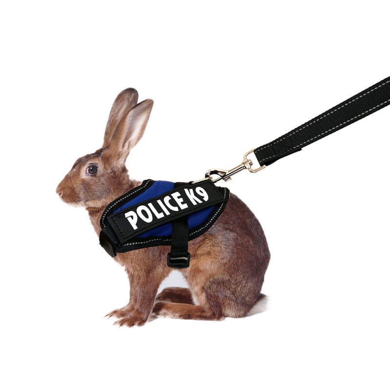 Vehomy Rabbit Harness with Leash for Bunny Rabbits Cats Small Animals (Blue) Blue rabbit harness - PawsPlanet Australia