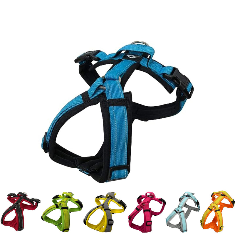 hakusan Zero Harness (XXS, Black x Turquoise) XXS - PawsPlanet Australia
