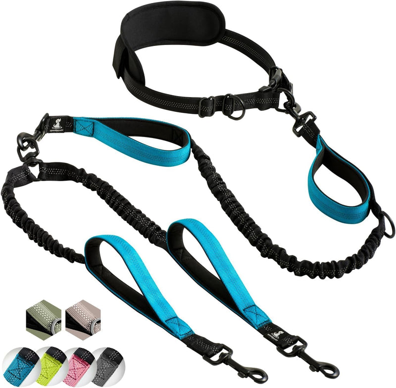 SparklyPets Hands Free Double Dog Leash – Dual Leash for Medium and Large Breeds – Lead for 2 Dogs with Padded Handles, Reflective Stitches, No Pull, Tangle Free Blue 2 dogs M/L