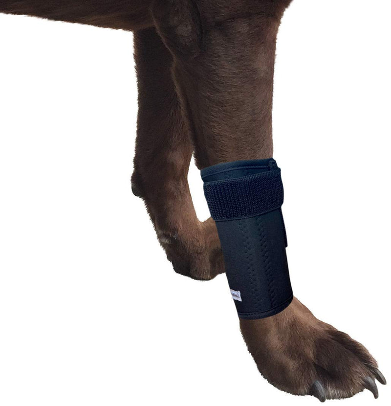 Labra Extra Supportive Dog Canine Front Leg Metal Spring Compression Brace Wrap Sleeve Protects Wounds Brace Heals and Prevents Injuries and Sprains Helps with Loss of Stability Caused by Arthritis… L/XL - PawsPlanet Australia