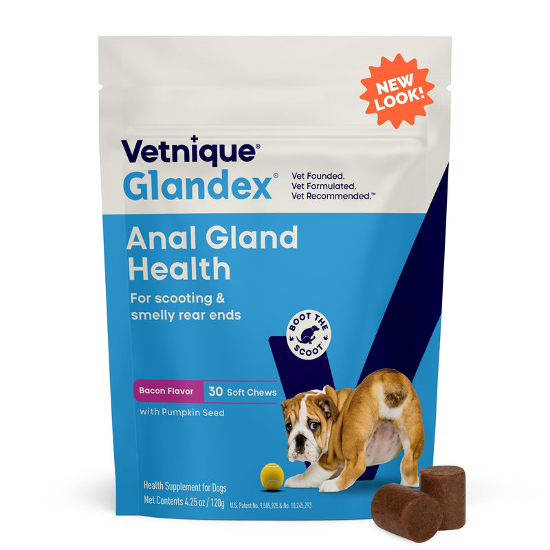 Vetnique Glandex Anal Gland Soft Chew Treats with Pumpkin for Dogs Digestive Enzymes, Probiotics Fiber Supplement for Dogs Boot The Scoot (Bacon Flavor Chews, 30 Count) Bacon Flavor Chews 30ct - PawsPlanet Australia