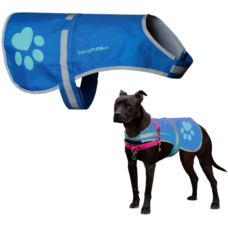 SafetyPUP XD Dog Reflective Vest – Hi-Vis Fluorescent Visibility That Helps to Safeguard Your Pet On/Off Leash in Urban & Rural Areas (Blue, X-Large) Blue - PawsPlanet Australia