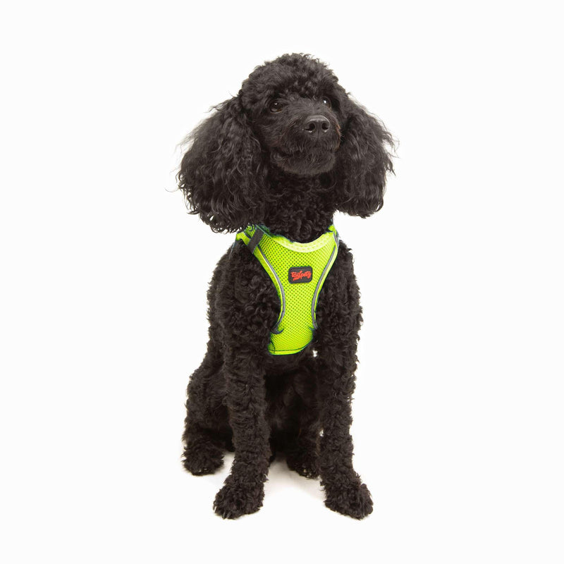 Tailpetz Extra Small Dog Harness, Adjustable Step in No Pull Harness for Small Dogs, Reflective Puppy Harness for Puppy Training, Boy Girl Dog Vest Harness (Neon Lime, XS) X-Small (Chest:14"-16") Neon Lime - PawsPlanet Australia