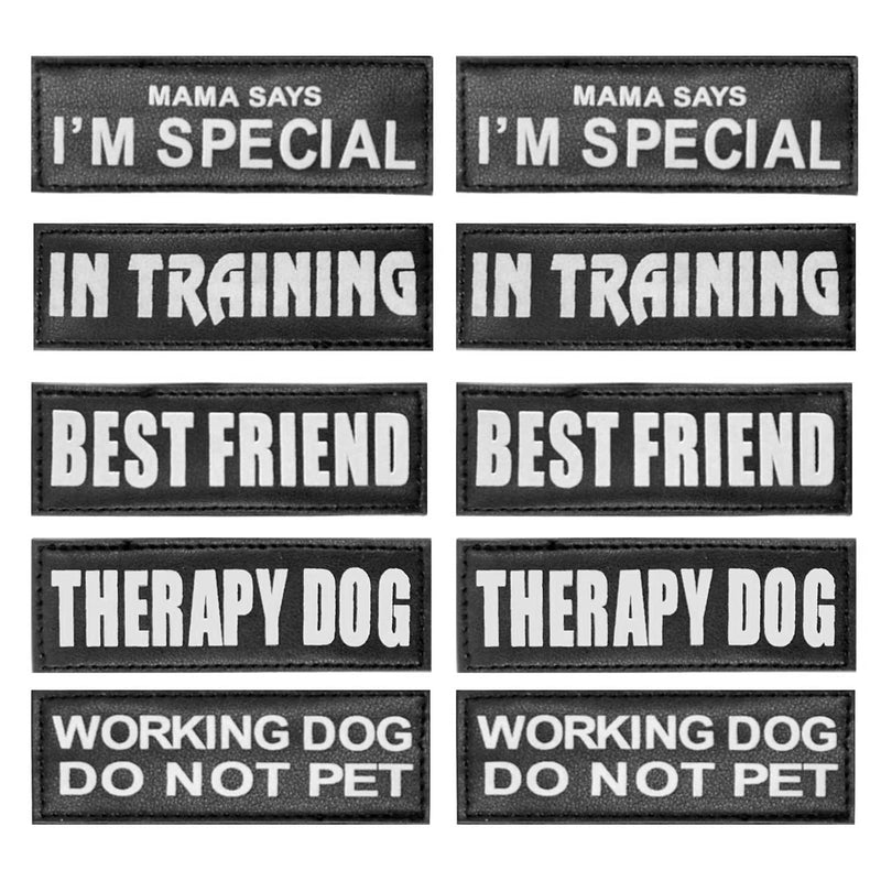 AUROTH Service Dog Vest Patches - 10 Pieces, Reflective and Removable Harness Patches for Training L-5.5X2.0” Series 1 - PawsPlanet Australia
