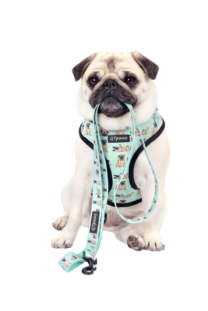 QTpawz Pug Vest Harness and Matching Leash, Breathable Mesh Interior Liner, 4 Adjusting Buckles to Get The Perfect Pug Fit (Medium) Medium - PawsPlanet Australia