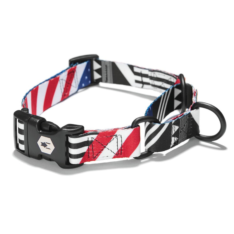 Wolfgang Premium Martingale Dog Collar for Small Medium Large Dogs, Made in USA, PledgeAllegiance Print, Large (1 Inch x 18-22 Inch) Large (1 Inch x 18-22 Inch) - PawsPlanet Australia