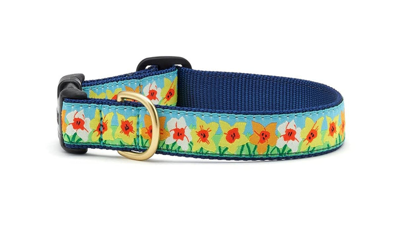 Up Country Daffodil Dog Collar, Small (9 to 15 inches) 1 inch Wide Width - PawsPlanet Australia