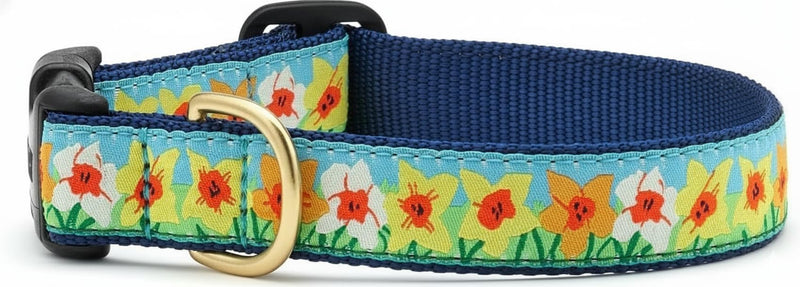 Up Country Daffodil Dog Collar, Medium (12 to 18 inches) 5/8 inch Narrow Width