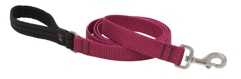 Dog Leash by Lupine ECO Collection 1" Wide Berry 4-Foot Long with Padded Handle - PawsPlanet Australia