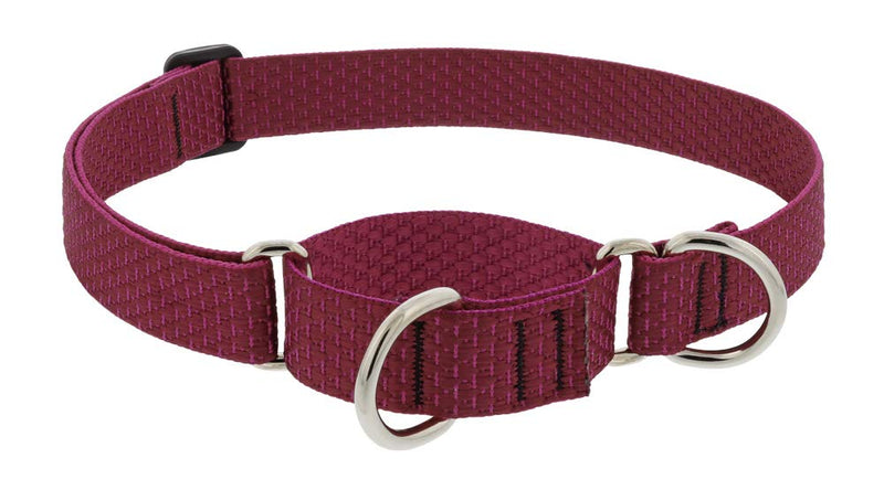 Martingale Dog Collar by Lupine ECO Collection 1" Wide Berry adjusts 15" to 22" - PawsPlanet Australia