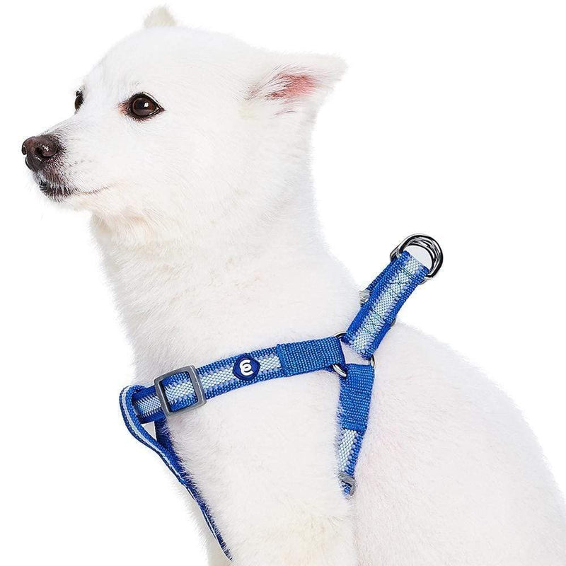 Blueberry Pet Essentials Step-in Reflective Back to Basics Dog Harness, Navy Blue, Chest Girth 26" - 39", Large, Adjustable Harnesses for Dogs - PawsPlanet Australia