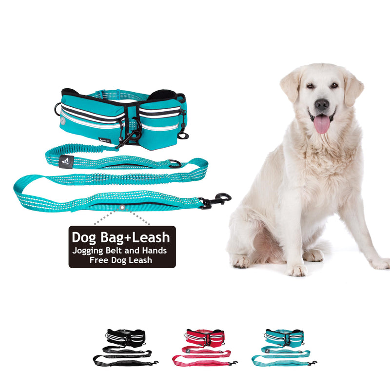 Kruz Hands Free Dog Leash (Waist 26”- 48”, Leash- 1”x 5ft) Premium Waist Belt for Walking, Running & Hike Bungee with Dual Handles, Adjustable Fit, Reflective Safety Design for Large Dogs (Turquoise) Turquoise - PawsPlanet Australia