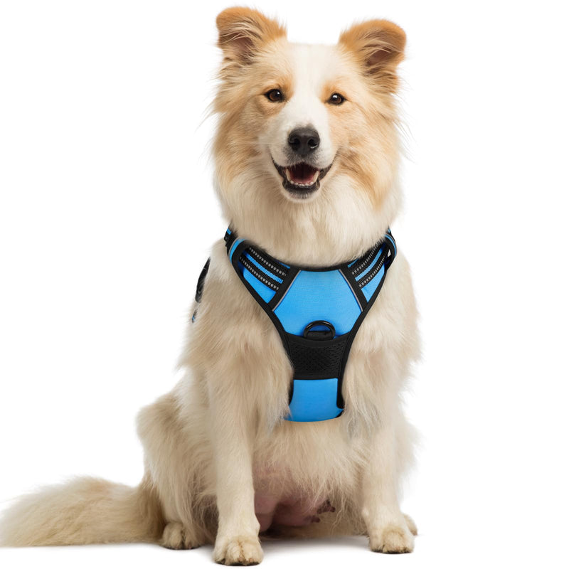 rabbitgoo Dog Harness No Pull with 2 Leash Clips, Adjustable Soft Padded, Reflective Oxford No Choke Pet Vest with Easy Control Handle for Medium Sized Dogs, Blue, M - PawsPlanet Australia