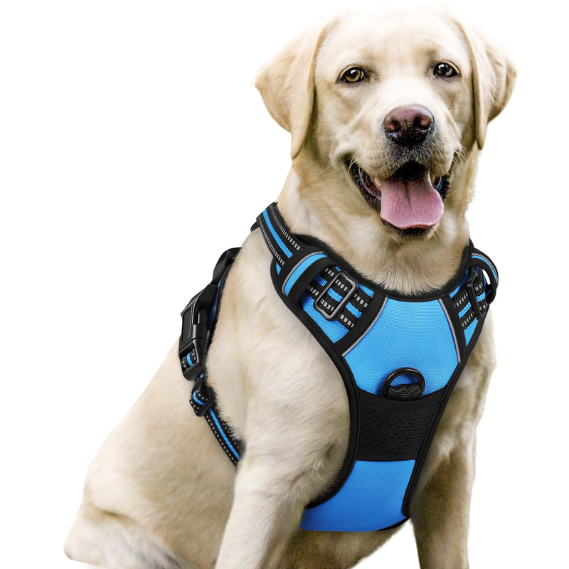 rabbitgoo Dog Harness No Pull with 2 Leash Clips, Adjustable Soft Padded, Reflective Oxford No Choke Pet Vest with Easy Control Handle for Large Dogs, Blue, L - PawsPlanet Australia