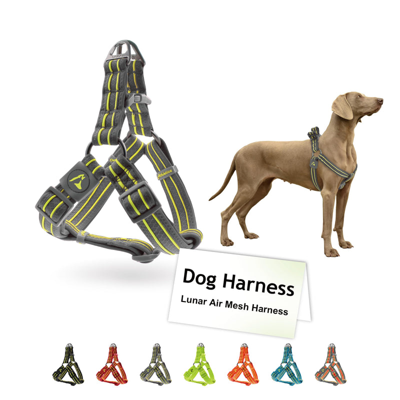 DOCO Solar Air Step-in Reflective Dog Mesh Harness for Walking Medium (Chest: 1" x 20-28") Gray - PawsPlanet Australia