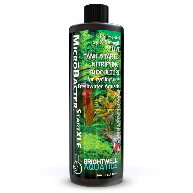 Brightwell Aquatics MicroBacter Start XLF - Concentrated Freshwater Nitrifying Bacteria - Quick Start Fish Tank Starter, Lift Microbe Levels & Water Filtering - Aquarium Water Treatments, 16.9 fl oz 500-ml - PawsPlanet Australia