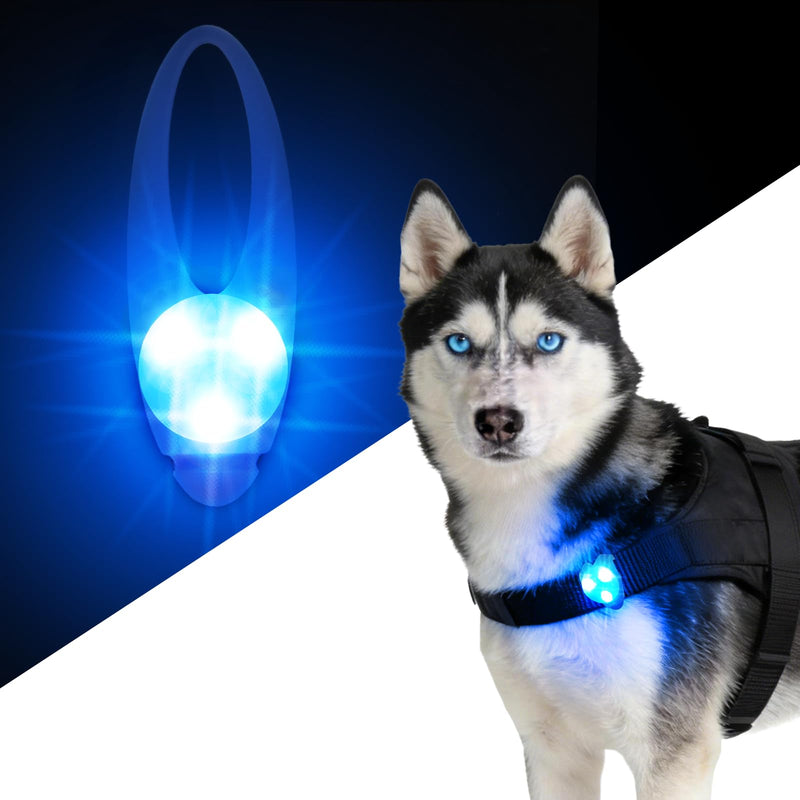LaRoo LED Dog Collar Light - Waterproof Clip-On 3 Modes, High Visibility for Night Walking/Camping, Pet Safety Light for Small/Medium/Large Dogs (Blue) Blue-A - PawsPlanet Australia