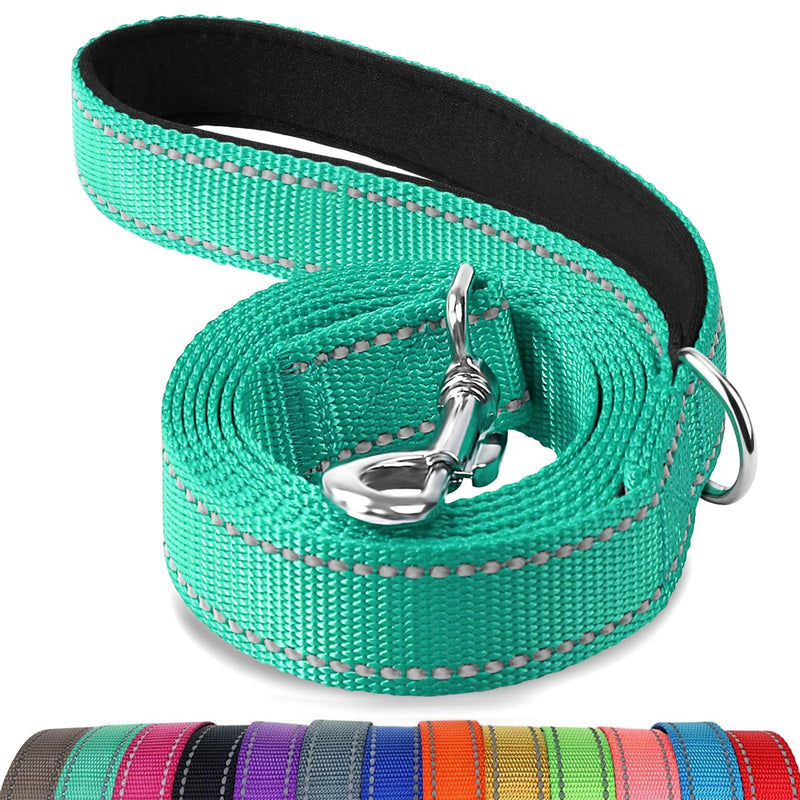 Joytale Dog Leash, 6 FT Double-Sided Reflective, Padded Handle Nylon Heavy Duty Leashes for Medium & Large Dogs Walking, Teal, 6FT 6 ft Standard - PawsPlanet Australia