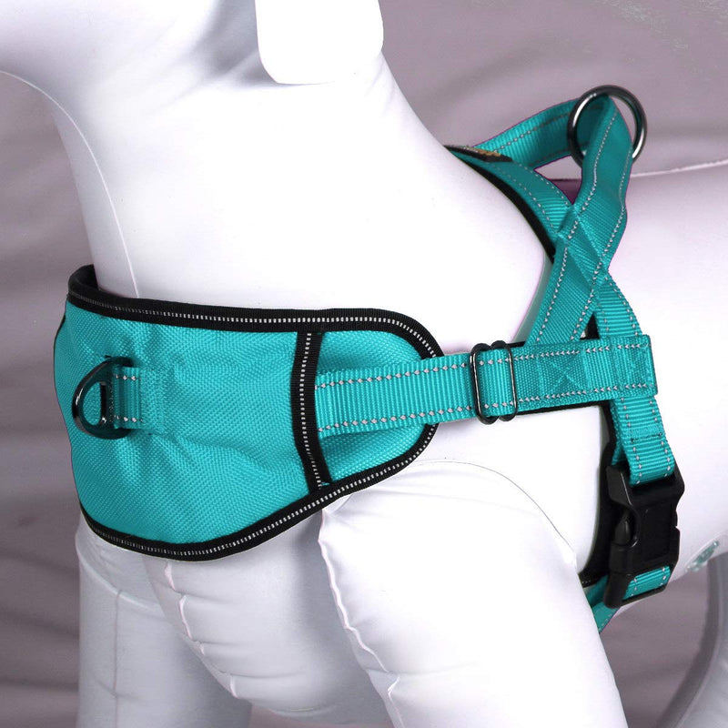 Max and Neo Passport Reflective Dog Harness - We Donate a Harness to a Dog Rescue for Every Harness Sold (Small (16"-22" Chest Girth), Teal) SMALL (16"-22" CHEST GIRTH) - PawsPlanet Australia
