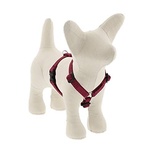 Small Adjustable Dog Harness by Lupine ECO Collection 1/2" Wide Berry with 12-20" Adjustable Girth - PawsPlanet Australia