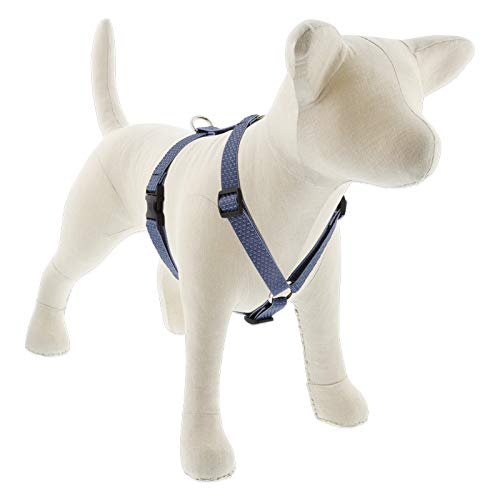 Small Dog Adjustable Harness by Lupine ECO Collection 3/4" Wide Mountain Lake with 12-20" Girth - PawsPlanet Australia