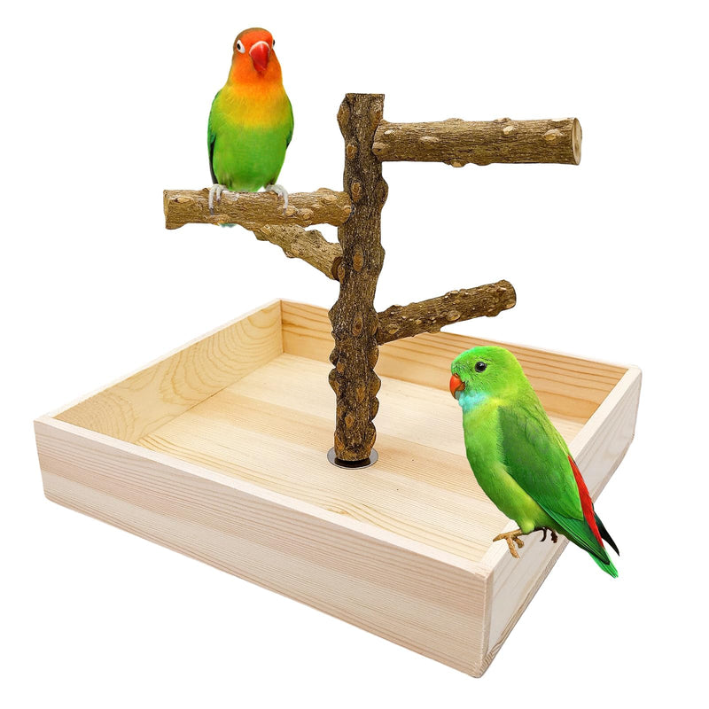 Hamiledyi Bird Perch Stand Playground Parrot Playground Tabletop Natural Wooden Perch PlayStand Platform Toys for Parrots Parakeets Lovebirds Canaries Cockatiels Conure - PawsPlanet Australia