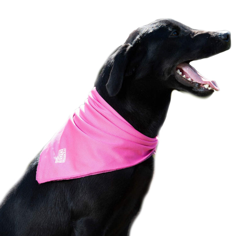 Terrain Dog Cooling Bandana - Cooling Fabric Powered by Coolcore® Technology 24" x 24" Pink - PawsPlanet Australia